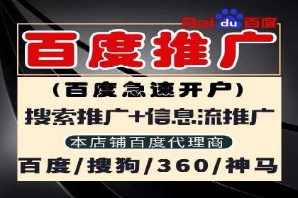 SEM托管服务，成功案例深度分析